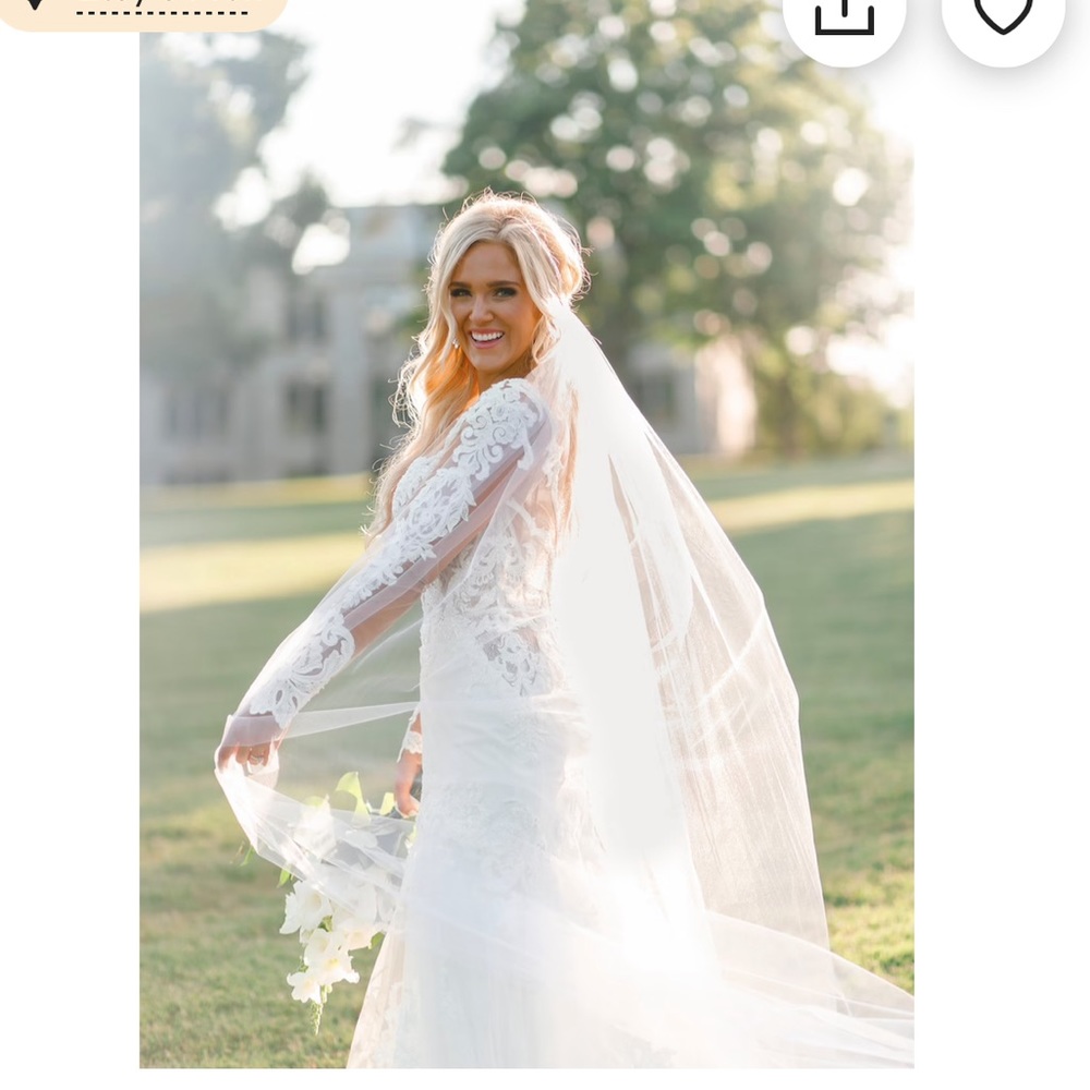 Plain cathedral veil